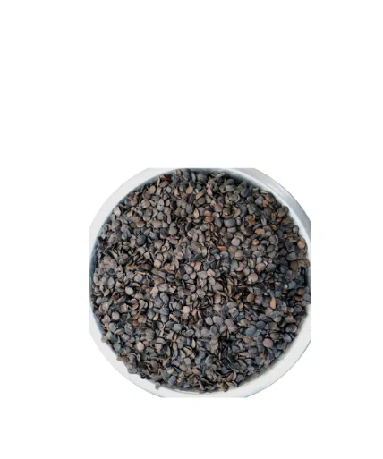 Whole Dried  Iru 100g -250g  ( locust beans)