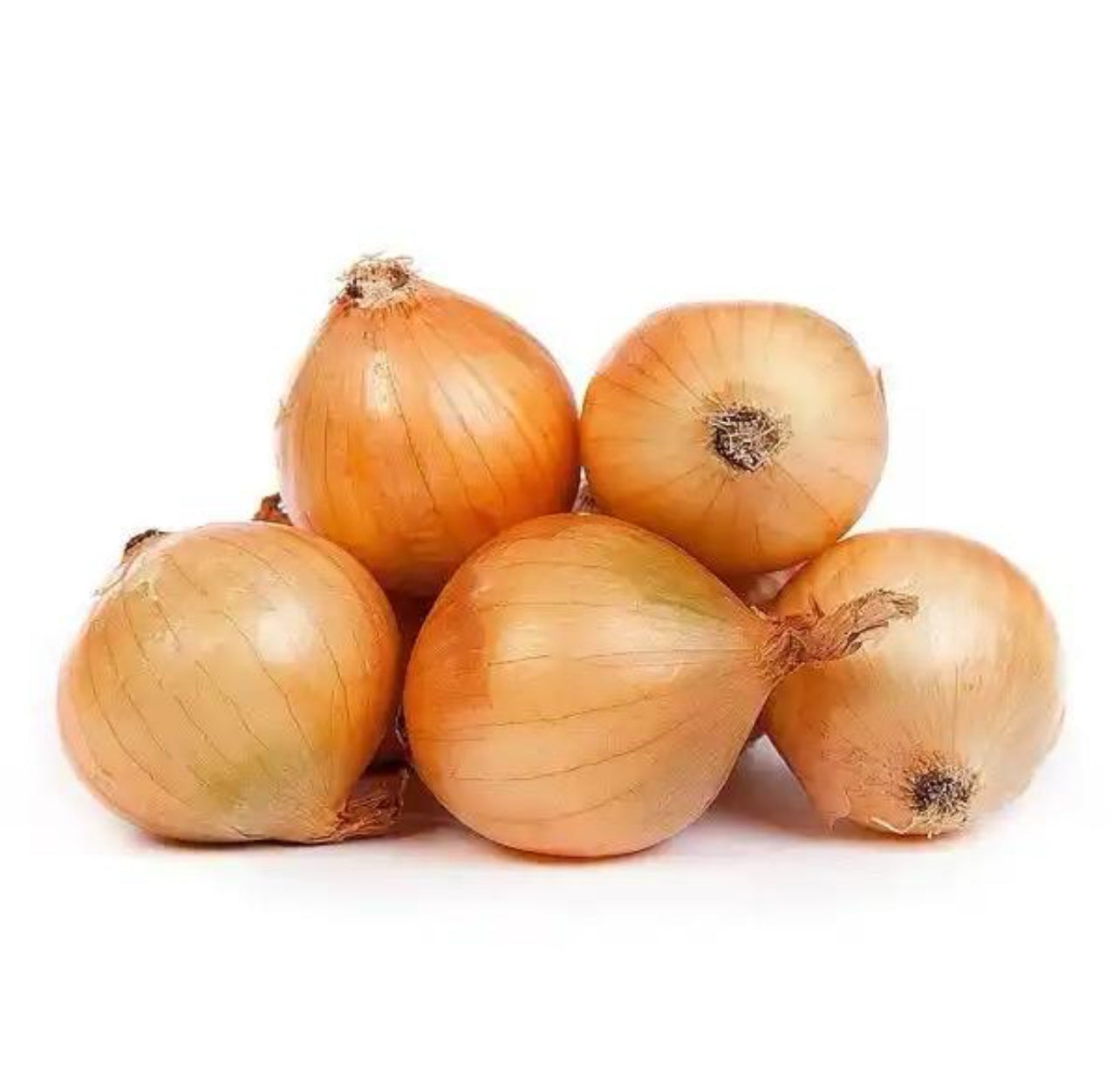 Fresh red onion 1kg -4kg - 4kg, White Onion