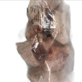 HEnko Frozen Hard Chicken Cut leg and thighs 1kg -2kg   (HALAL) - 2kg