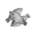 Frozen Tilapia Fish 2.5kg  large (  300 -500) - 2.5kg