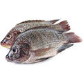 Frozen Tilapia Fish 2.5kg  large (  500 -800)