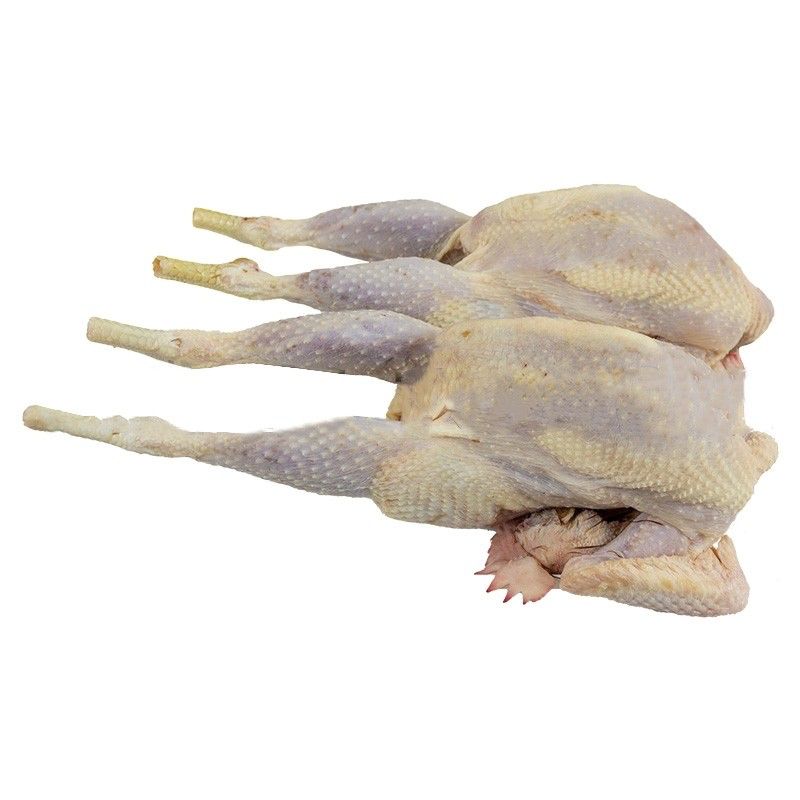 Hard Whole Boiler Chicken - 1pcs - 1.9kg