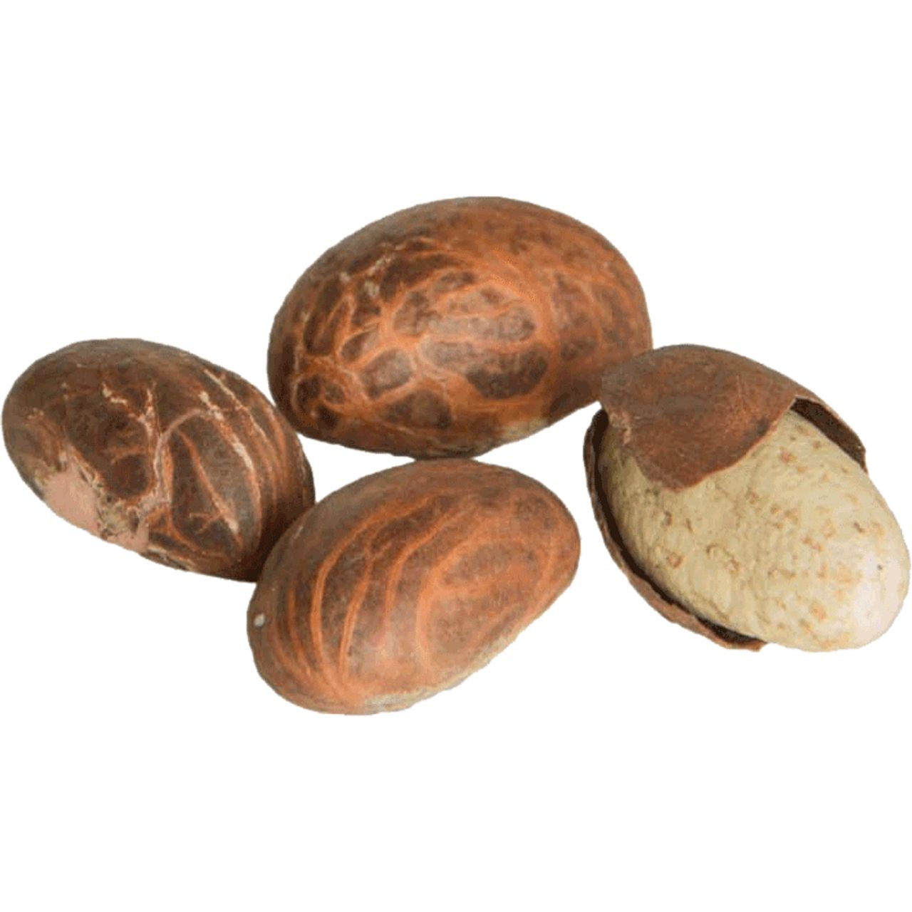 BITTER KOLA  1 PACK (78g -100g)