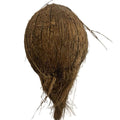 Fresh Coconut 1 piece ( peeled)